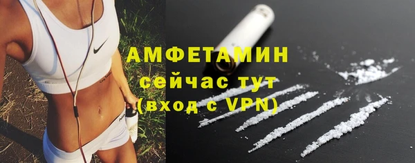 амф Аркадак