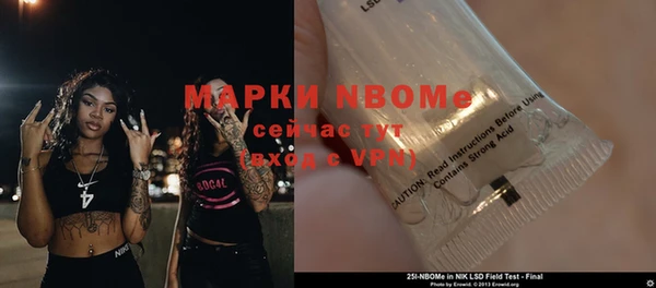 шишки Арсеньев