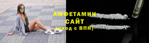 шишки Арсеньев