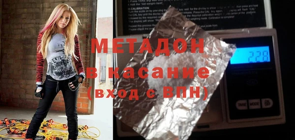 шишки Арсеньев