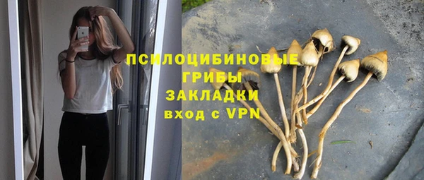 первитин Армянск