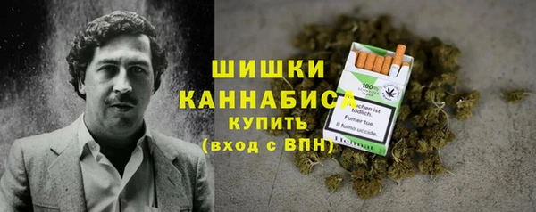 шишки Арсеньев